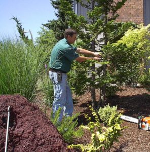 arborist services redbank